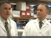 LEUCÉMIE lymphocytes transformés serial killers England Journal Medicine Science Translational