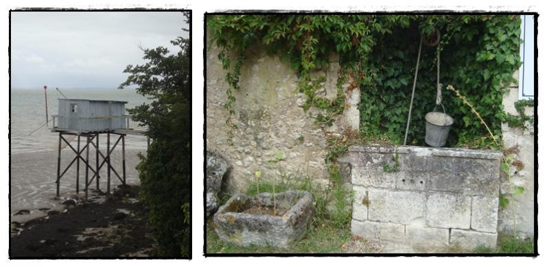 Talmont, veilleur d'estuaire 24 juillet 2011