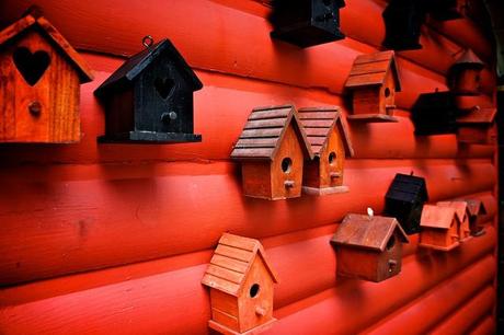 Condo à vendre ou à louer ! DSC06994