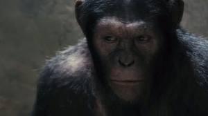 le film americain la planete des singes: les origines