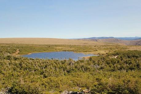 Vacances d'été #3 : La Gaspésie J4
