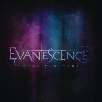 Evanescence What you want