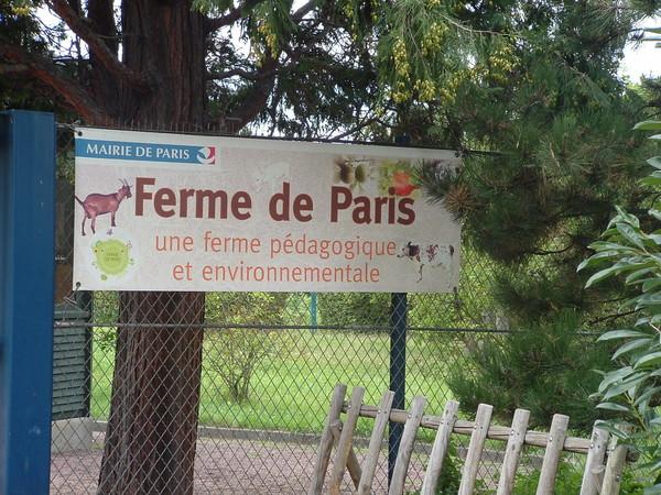 La ferme pedagogique