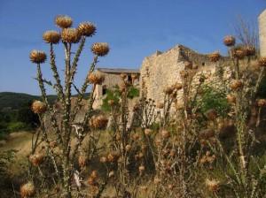 La commanderie du Ruou