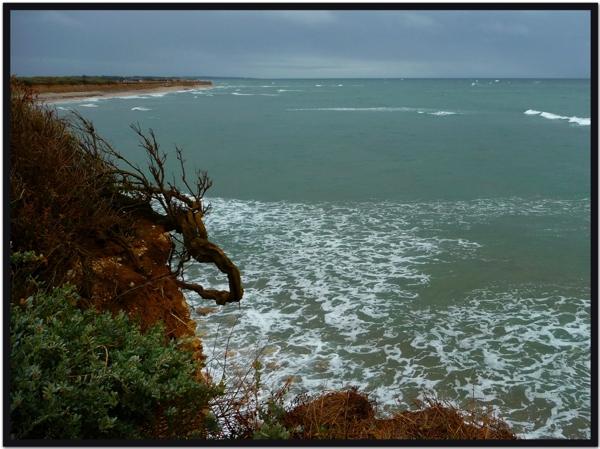 Il y avait foule au phare