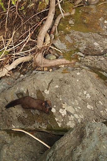 Vacances d'été #3 : La Gaspésie J5