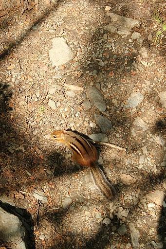 Vacances d'été #3 : La Gaspésie J5