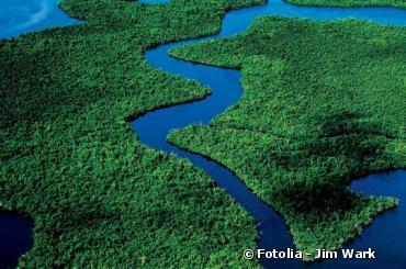 Journée de mobilisation internationale pour sauver la forêt amazonienne