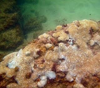 Au bout de la piste, des paradis !