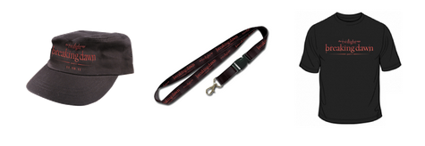 Les goodies officiels de la première partie de Breaking Dawn arrivent !