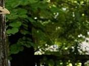 Promo mode enfants 'derniers coups soleil'