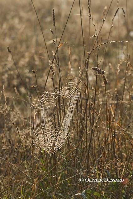 le centre, en toute circonstance !