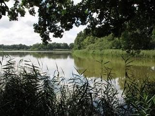 L'étang de Ramerupt (Aube)