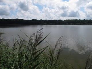 L'étang de Ramerupt (Aube)