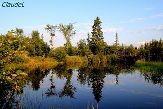 Des images plutôt que des mots