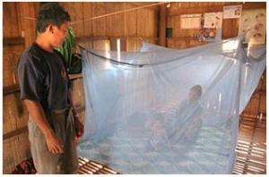 PALUDISME: Les moustiquaires responsables de la résurgence de la maladie? – The Lancet Infectious Diseases