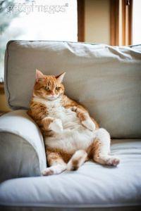 Abécédaire idioms anglais: la lettre C