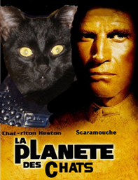 planete des chats