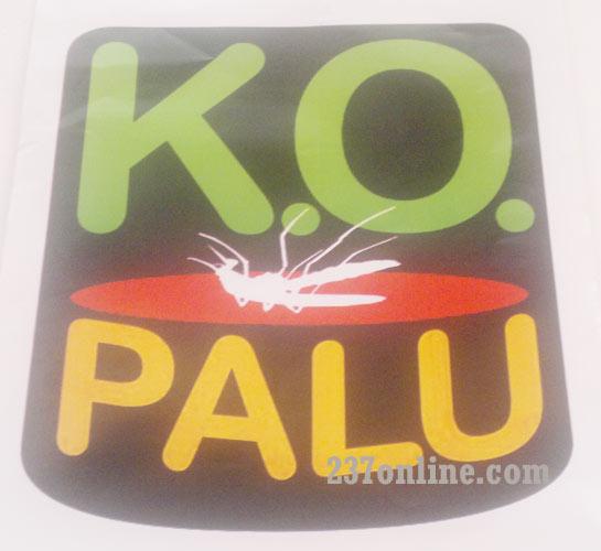 Lutte contre le paludisme: Le projet K.O. Palu officiellement lancé 