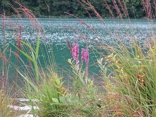 Les lacs du Jura : 1- le lac de Narlay
