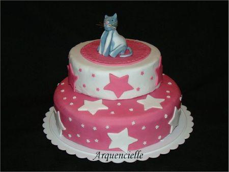 Gâteau chat étoiles cat cake star