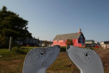 Vacances d'été #3 : La Gaspésie J8