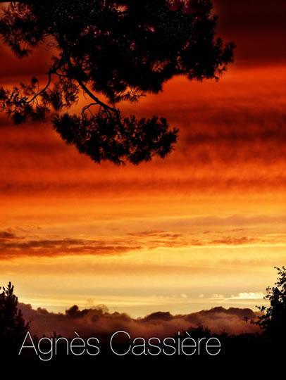 Sélection Darqroom Pixfan #32