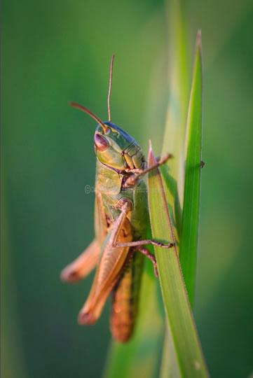 Sélection Darqroom Pixfan #32