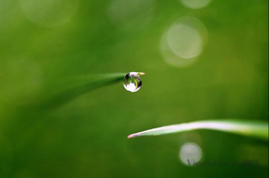 Sélection Darqroom Pixfan #32