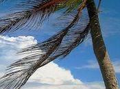 Survivre déserte avec trois produits beauté défi relevé