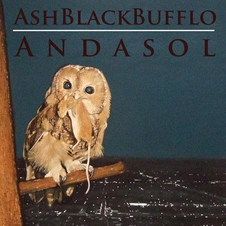 REVIEW : Ash Black Bufflo, Andasol.