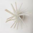 pailles biodégradable blanches pailles blanches