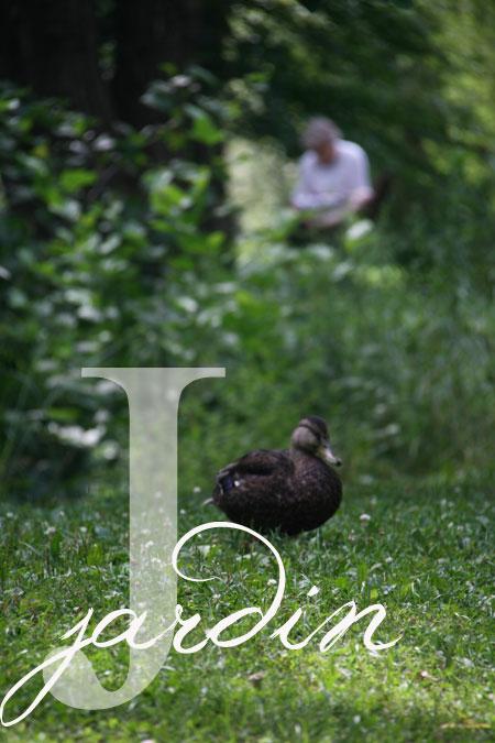 Abécédaire d'un été :: F-J