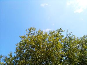 Pour ceux qui veulent, on a du soleil en trop dans le sud du...