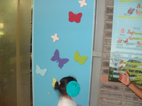 La serre aux papillons 