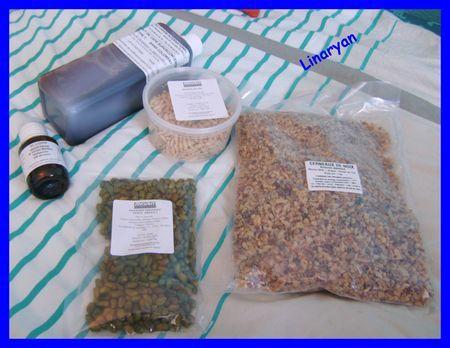 Mon Partenariat : Fruits secs du web IMGP0603