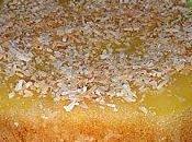 Gâteau l'ananas noix coco