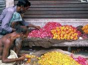 Jogindernagar, août 1993