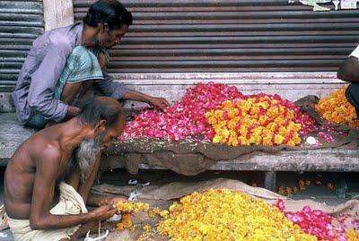 Jogindernagar, 24 août 1993