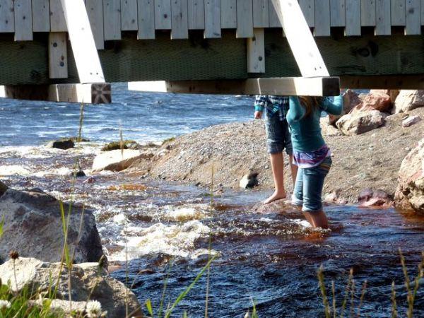 Muffins aux pommes à la pâte de spéculoos