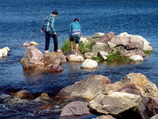 Muffins aux pommes à la pâte de spéculoos