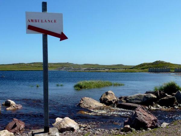 Muffins aux pommes à la pâte de spéculoos