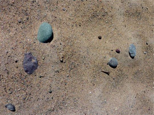 Muffins aux pommes à la pâte de spéculoos