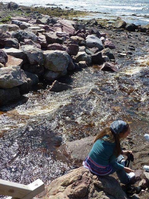 Muffins aux pommes à la pâte de spéculoos