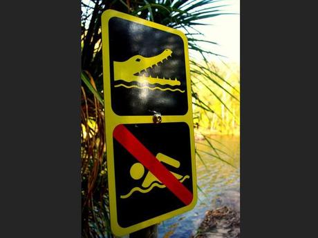 Un panneau prévient les baigneurs inconscients dans le Northern Territory, en Australie.
