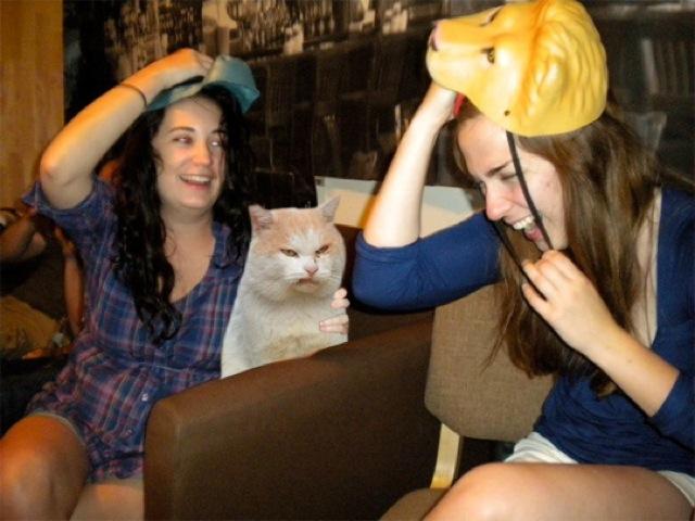  Boozecats : Protéger vos photos de soirées avec des chats
