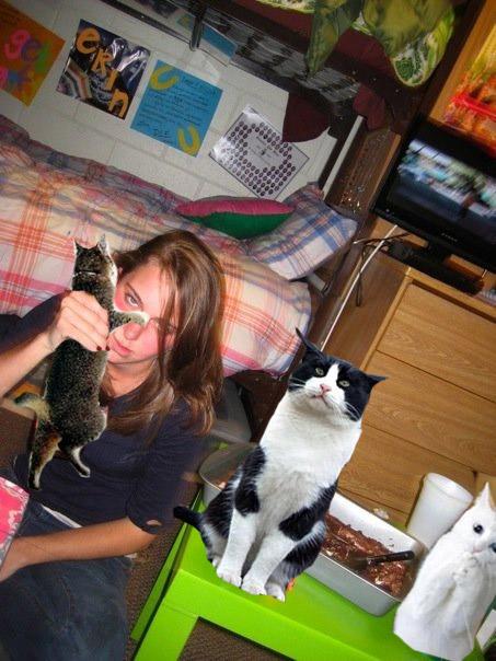  Boozecats : Protéger vos photos de soirées avec des chats