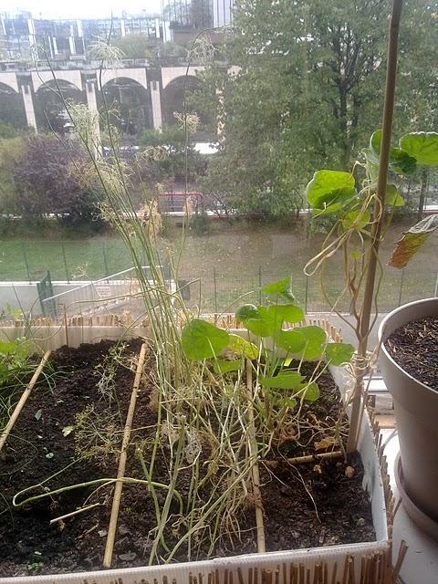 Les Vacances... Un peu de déco, un peu de potager, un peu de tout !