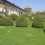 qui s'intercalent avec le potager