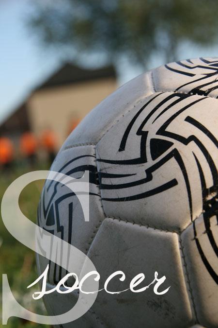 Abécédaire d'un été :: P-T